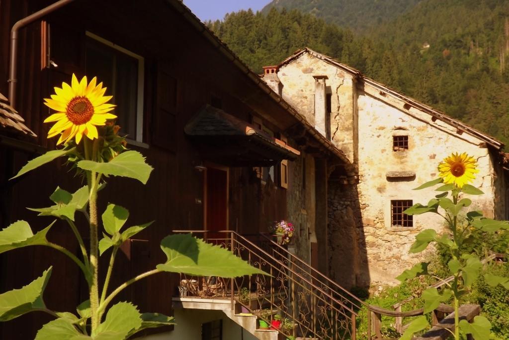 Di Baut Hotel Ovaro Exterior photo