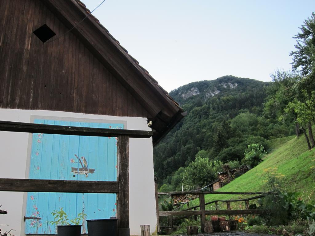 Di Baut Hotel Ovaro Exterior photo